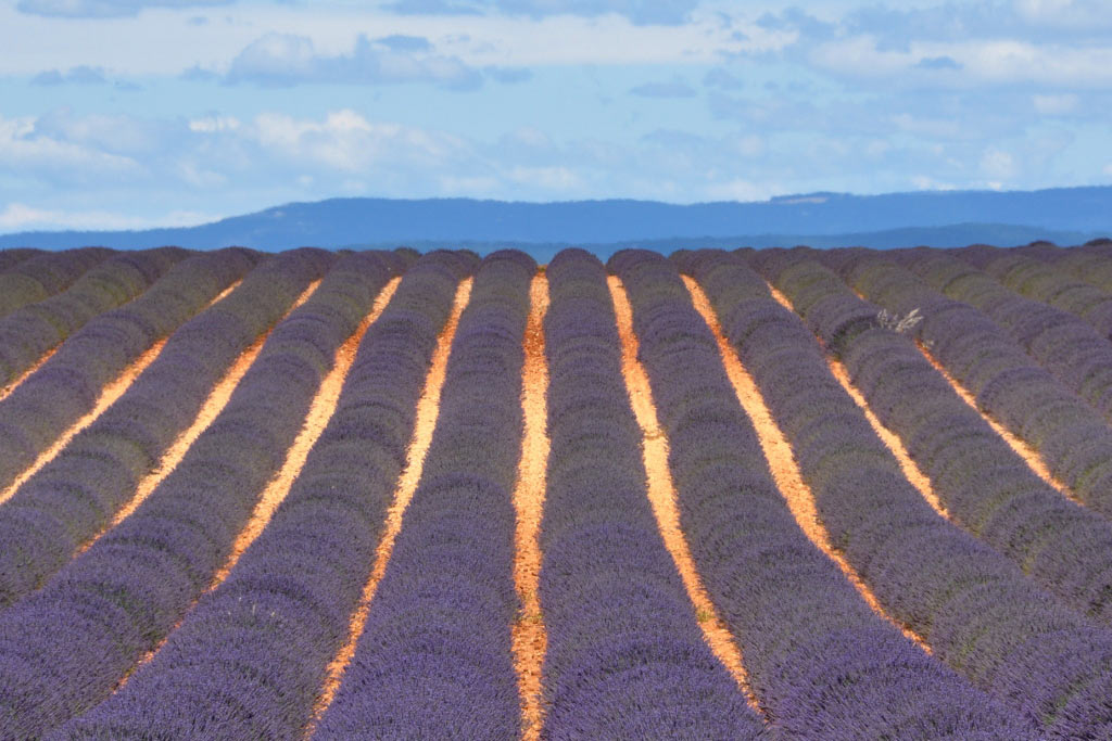 Manosque